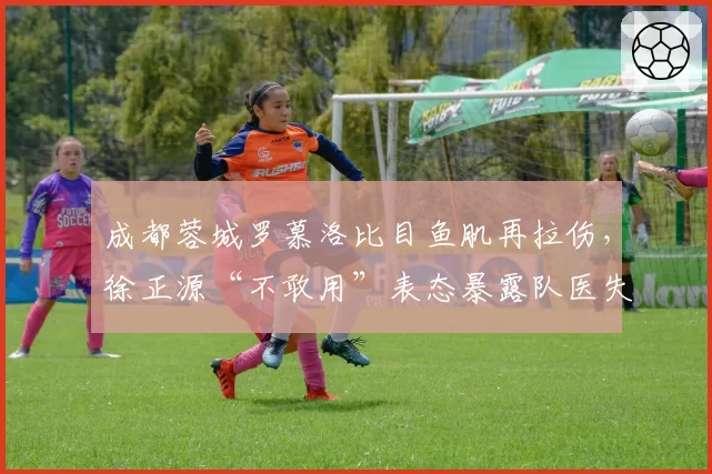 成都蓉城罗慕洛比目鱼肌再拉伤,徐正源“不敢用”表态暴露队医失职